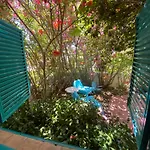 Prainhaactivitiesbeachhouse 阿尔沃尔