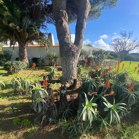 Prainhaactivitiesbeachhouse Casa vacanze Alvor