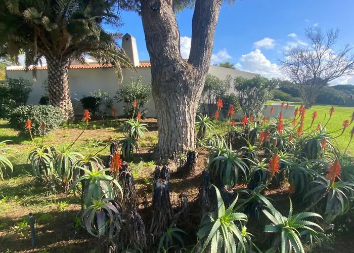 Prainhaactivitiesbeachhouse Semesterbostad Alvor