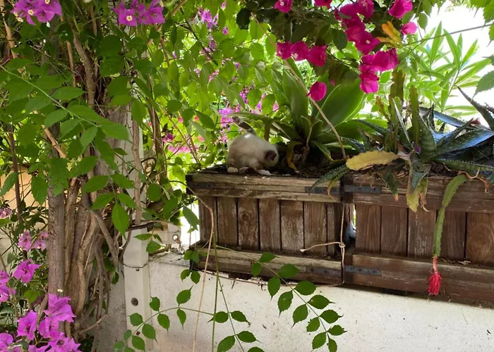 Prainhaactivitiesbeachhouse Alvor